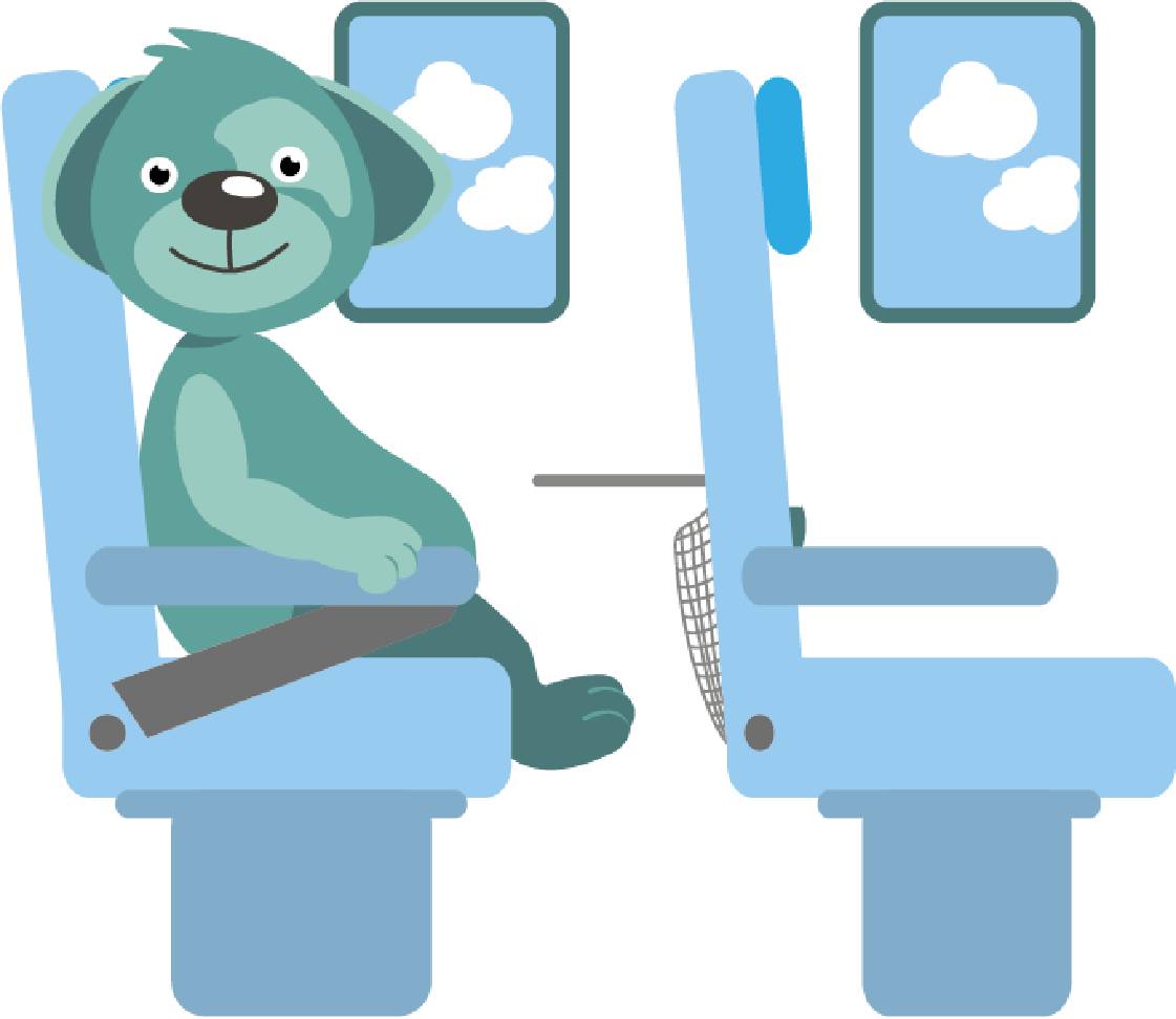 petsXL Oskar on the plane