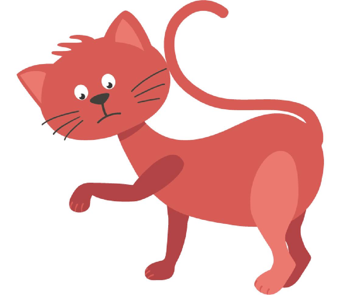 petsXL Minka is limping