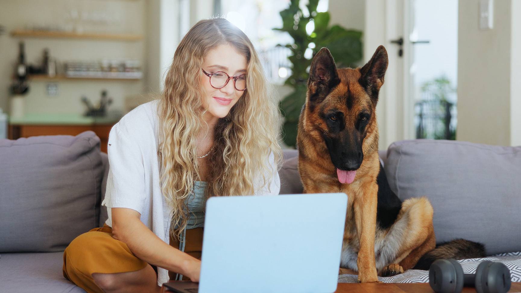 Frau und Schäferhund auf Sofa vor Laptop