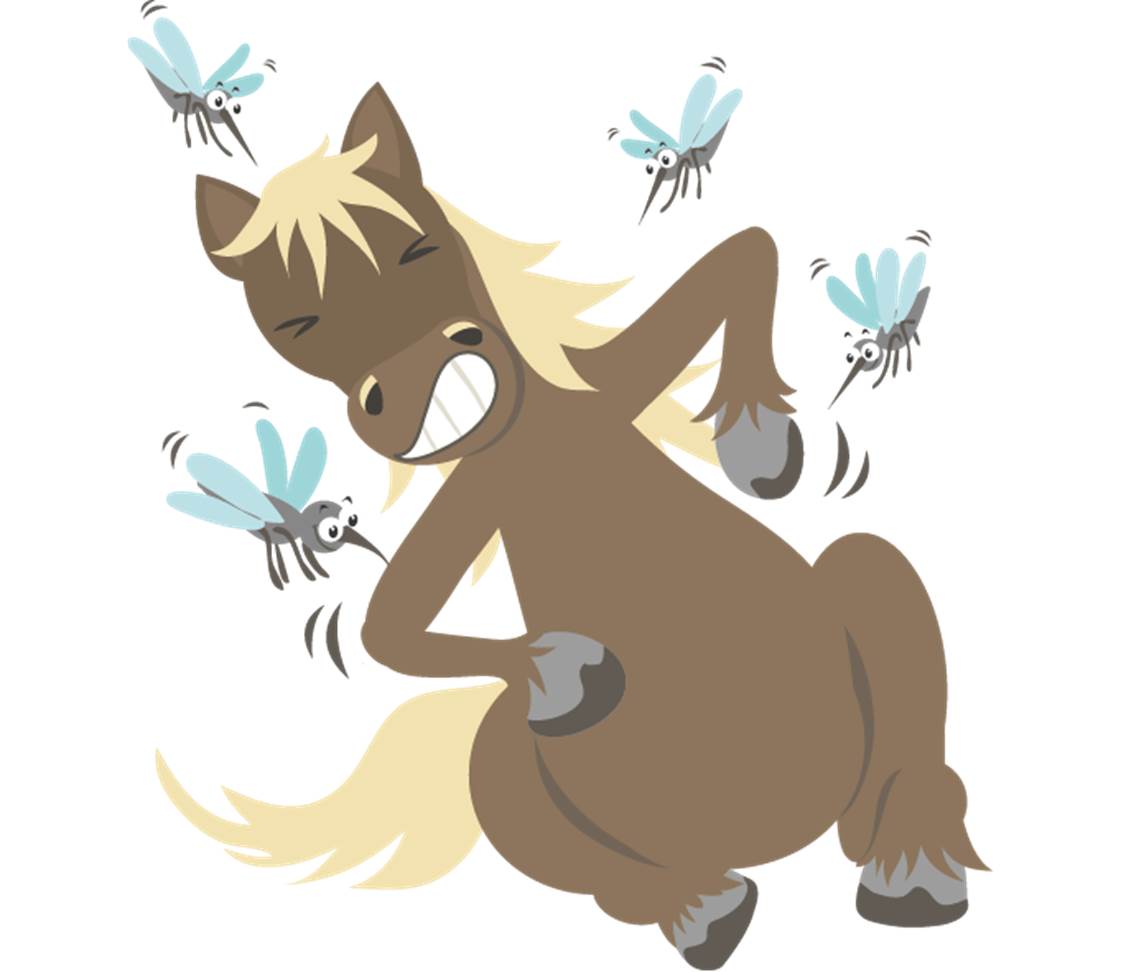 Horse with insects and itching