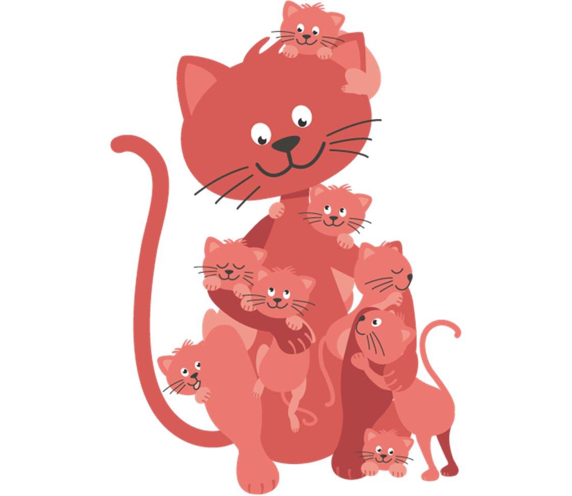 petsXL Minka mit Kitten