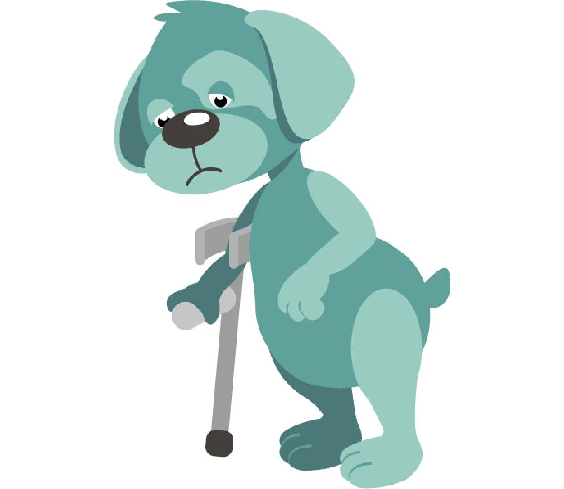 petsXL Oskar with walking aid