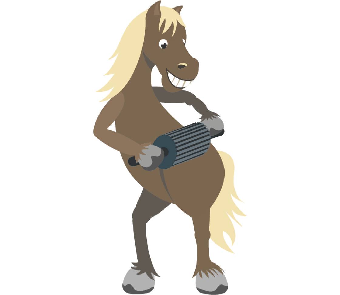 petsXL Sunny mit Faszienrolle