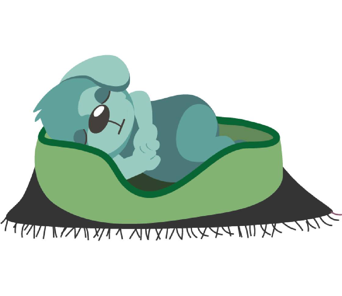 petsXL Oskar is lying in his basket