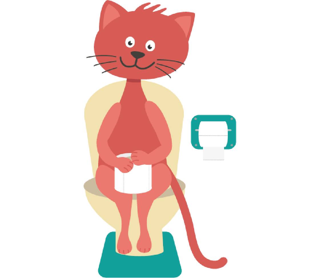 petsXL Minka sitzt auf Toilette