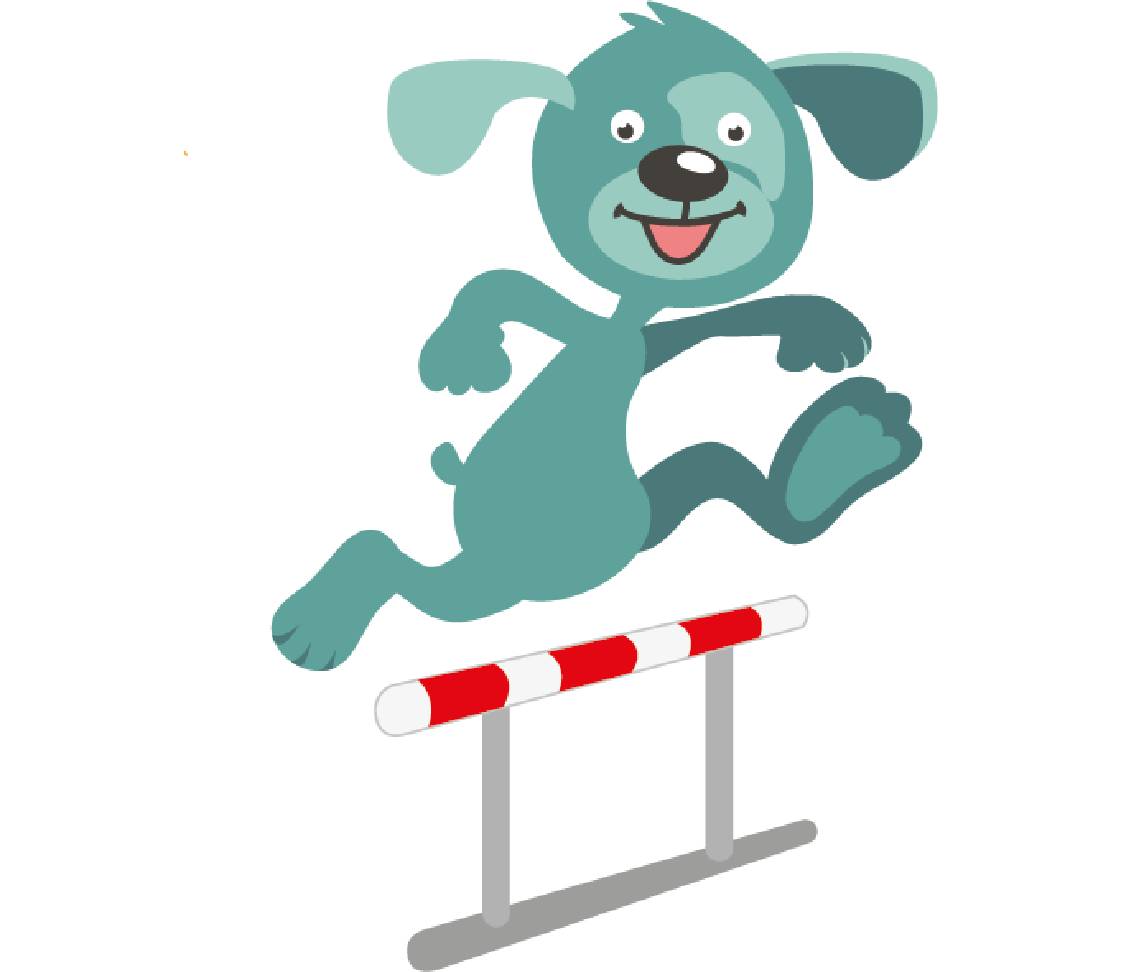 petsXL Oskar jumps over hurdles