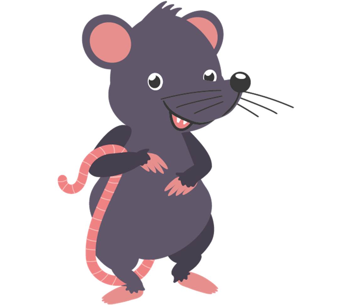 petsXL Ratte