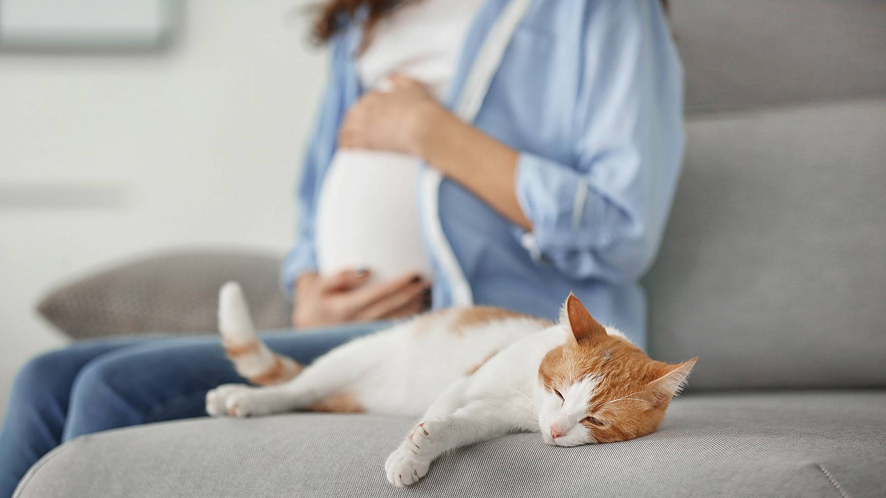 Schwangere mit Katze