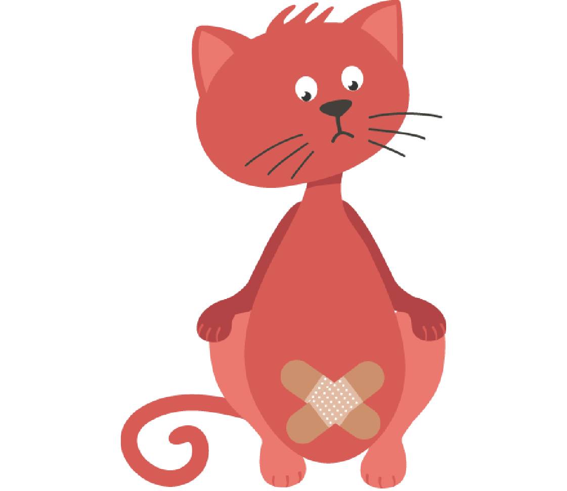 Minka mit Pflaster auf dem Bauch