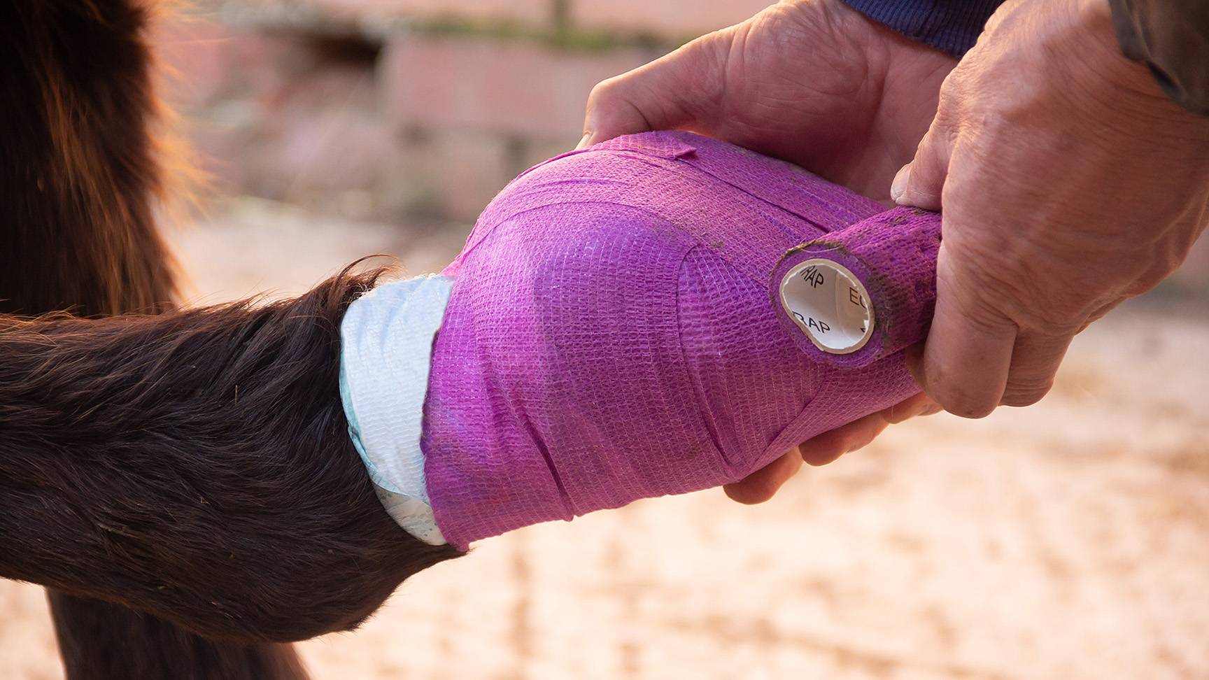 Hoof dressing