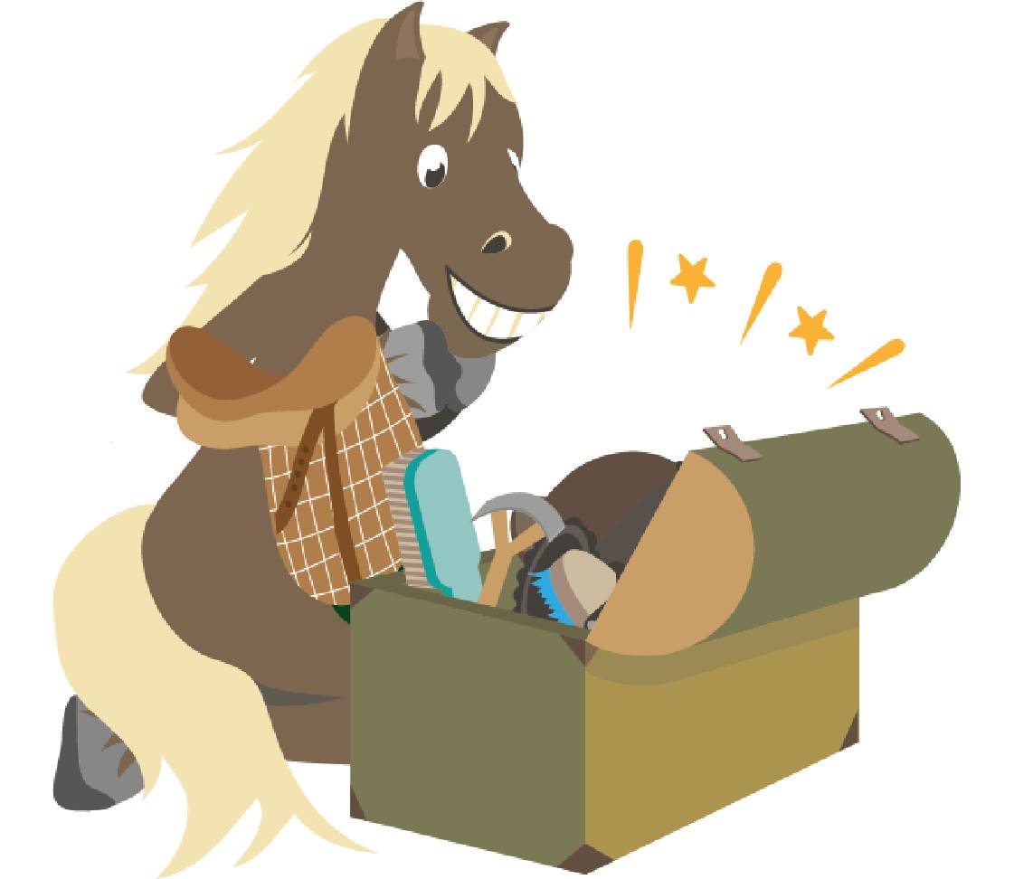 petsXL Sunny mit Putzkiste und Sattel