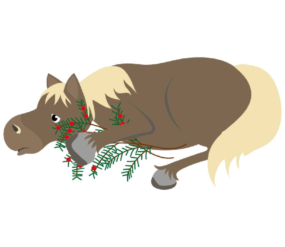 petsXL Sunny with branch