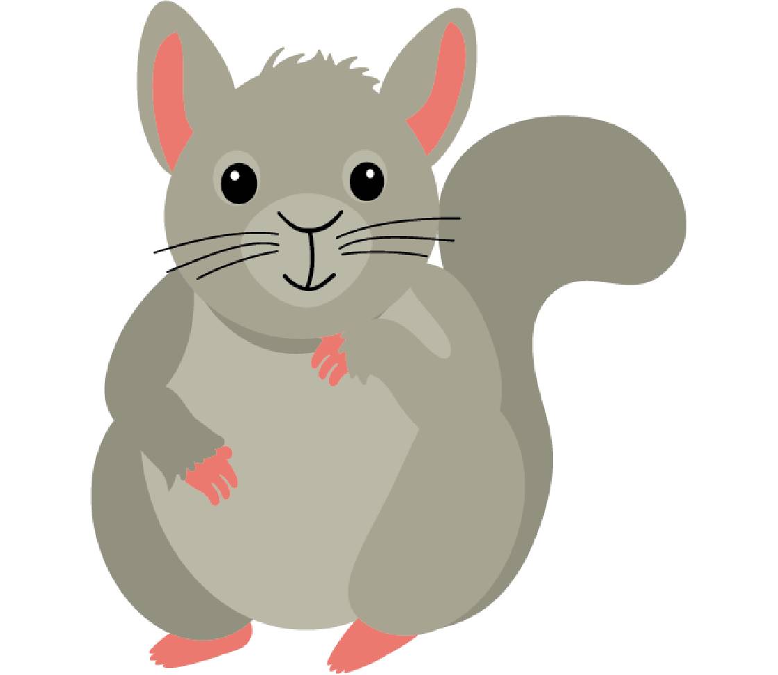 petsXL Chinchilla
