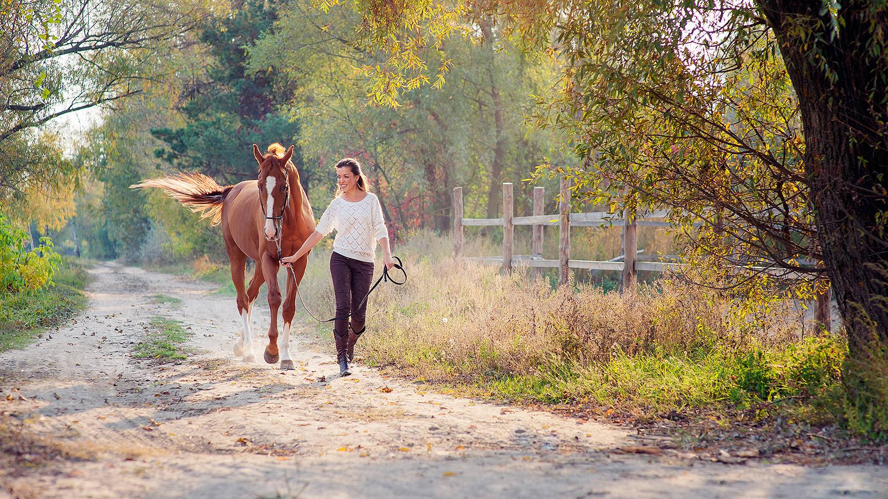 Woman leads horse