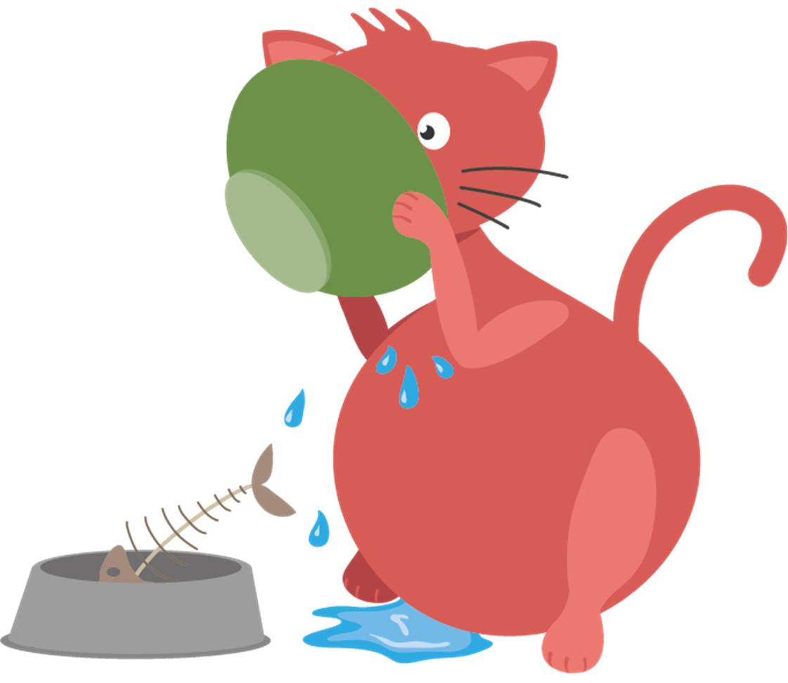 Katze trinkt Wasser